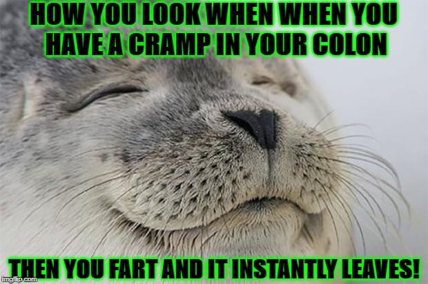 Satisfied Seal Meme | HOW YOU LOOK WHEN WHEN YOU HAVE A CRAMP IN YOUR COLON; THEN YOU FART AND IT INSTANTLY LEAVES! | image tagged in memes,satisfied seal | made w/ Imgflip meme maker