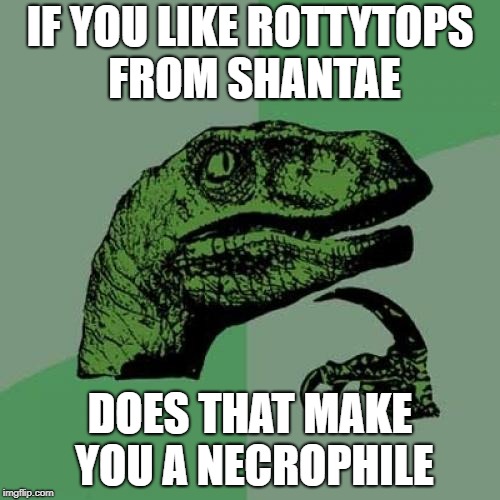 Philosoraptor Meme | IF YOU LIKE ROTTYTOPS FROM SHANTAE; DOES THAT MAKE YOU A NECROPHILE | image tagged in memes,philosoraptor | made w/ Imgflip meme maker