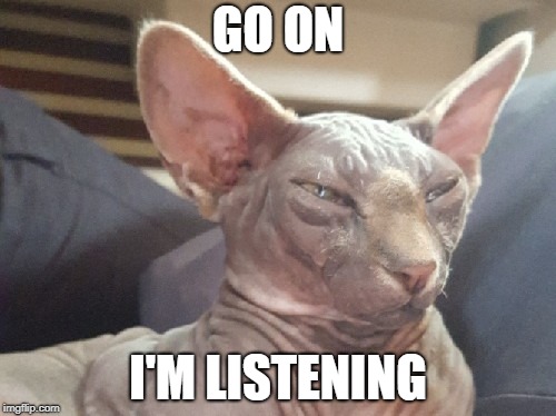 Please continue... | GO ON; I'M LISTENING | image tagged in cats,listening,not listening,sorry not sorry,mr bigglesworth,mrfluffyboathag | made w/ Imgflip meme maker