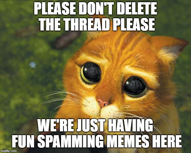 Pretty Please Cat | PLEASE DON'T DELETE THE THREAD PLEASE; WE'RE JUST HAVING FUN SPAMMING MEMES HERE | image tagged in pretty please cat | made w/ Imgflip meme maker