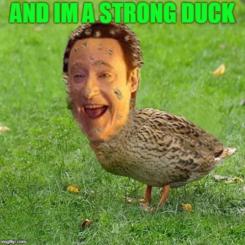 The Data Ducky | AND IM A STRONG DUCK | image tagged in the data ducky | made w/ Imgflip meme maker