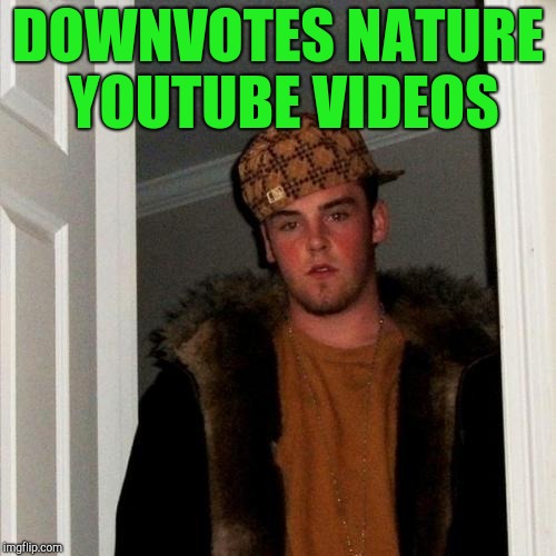 Scumbag Steve | DOWNVOTES NATURE YOUTUBE VIDEOS | image tagged in memes,scumbag steve | made w/ Imgflip meme maker