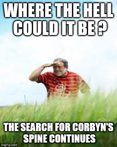 The search for Corbyn's backbone | WHERE THE HELL COULD IT BE ? THE SEARCH FOR CORBYN'S SPINE CONTINUES | image tagged in corbyn eww,momentum,funny,gtto jc4pm,wearecorbyn,labourisdead | made w/ Imgflip meme maker