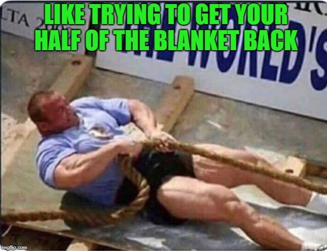  like trying to get your half of the blanket back | LIKE TRYING TO GET YOUR HALF OF THE BLANKET BACK | image tagged in funny,tug of war,blanket | made w/ Imgflip meme maker
