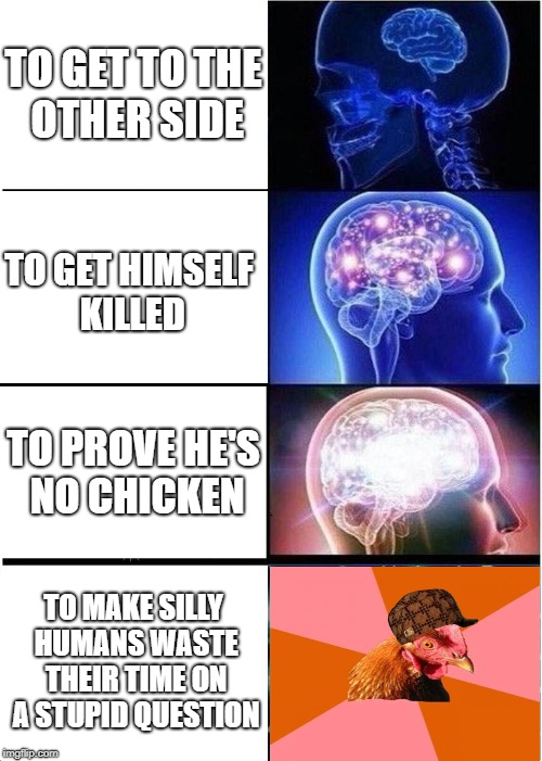 Why did the chicken cross the road? | TO GET TO THE OTHER SIDE; TO GET HIMSELF KILLED; TO PROVE HE'S NO CHICKEN; TO MAKE SILLY HUMANS WASTE THEIR TIME ON A STUPID QUESTION | image tagged in memes,expanding brain,scumbag | made w/ Imgflip meme maker