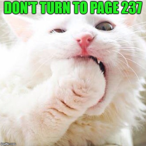 DON'T TURN TO PAGE 237 | made w/ Imgflip meme maker
