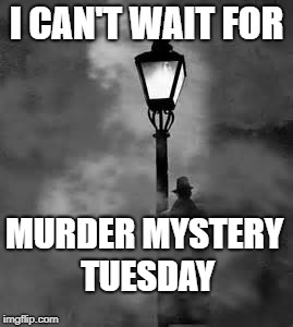 mystery man | I CAN'T WAIT FOR; MURDER MYSTERY TUESDAY | image tagged in mystery man | made w/ Imgflip meme maker