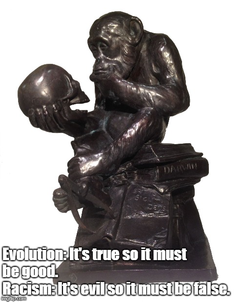 evolution ape | Evolution: It's true so it must be good. 
                   Racism: It's evil so it must be false. | image tagged in evolution ape | made w/ Imgflip meme maker