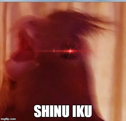 SHINU IKU | image tagged in rage cockatiel | made w/ Imgflip meme maker
