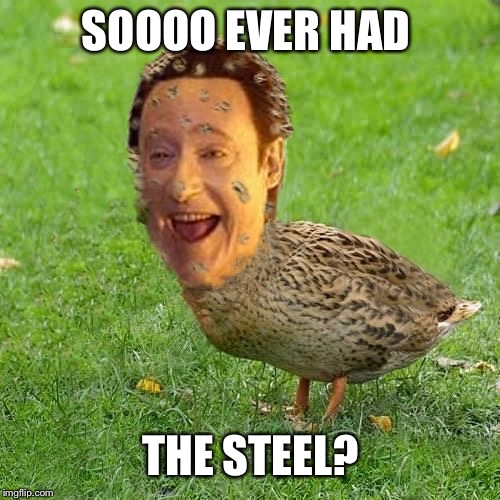The Data Ducky | SOOOO EVER HAD; THE STEEL? | image tagged in the data ducky | made w/ Imgflip meme maker