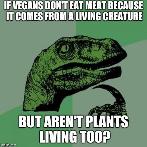 Philosoraptor Meme | IF VEGANS DON'T EAT MEAT BECAUSE IT COMES FROM A LIVING CREATURE; BUT AREN'T PLANTS LIVING TOO? | image tagged in memes,philosoraptor | made w/ Imgflip meme maker