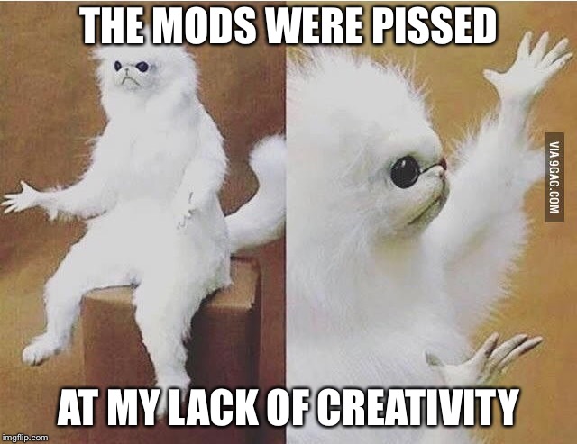 THE MODS WERE PISSED AT MY LACK OF CREATIVITY | made w/ Imgflip meme maker