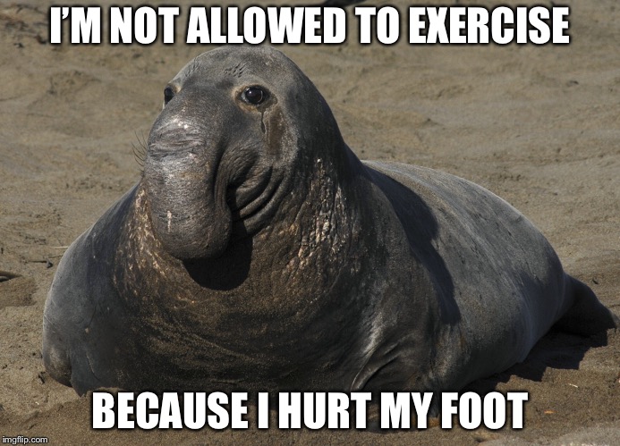 I’M NOT ALLOWED TO EXERCISE; BECAUSE I HURT MY FOOT | image tagged in memes | made w/ Imgflip meme maker