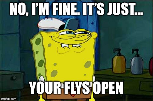 Don't You Squidward Meme | NO, I’M FINE. IT’S JUST... YOUR FLYS OPEN | image tagged in memes,dont you squidward | made w/ Imgflip meme maker