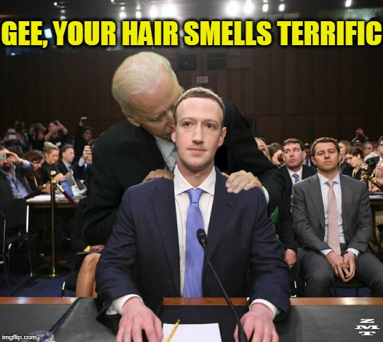 Joe Biden his Time | GEE, YOUR HAIR SMELLS TERRIFIC | image tagged in vince vance,facebook,joe biden,congressional hearings,mark zuckerberg,shampoo | made w/ Imgflip meme maker