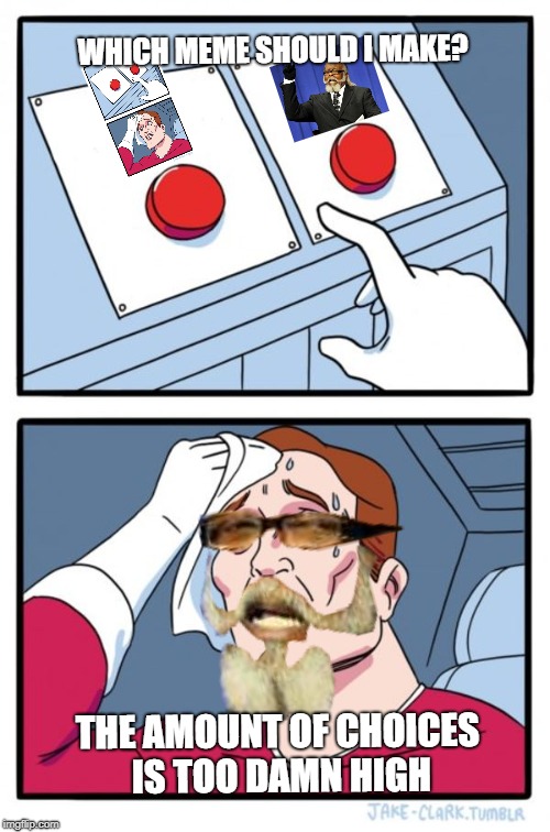 Choices | WHICH MEME SHOULD I MAKE? THE AMOUNT OF CHOICES IS TOO DAMN HIGH | image tagged in memes,funny memes,choose wisely | made w/ Imgflip meme maker