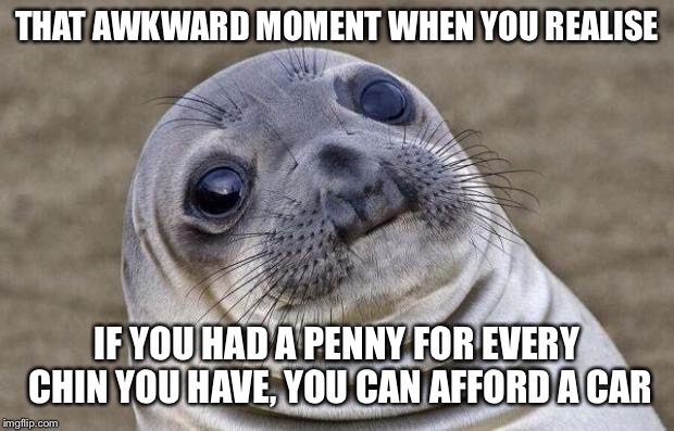 Awkward Moment Sealion Meme | THAT AWKWARD MOMENT WHEN YOU REALISE IF YOU HAD A PENNY FOR EVERY CHIN YOU HAVE, YOU CAN AFFORD A CAR | image tagged in memes,awkward moment sealion | made w/ Imgflip meme maker