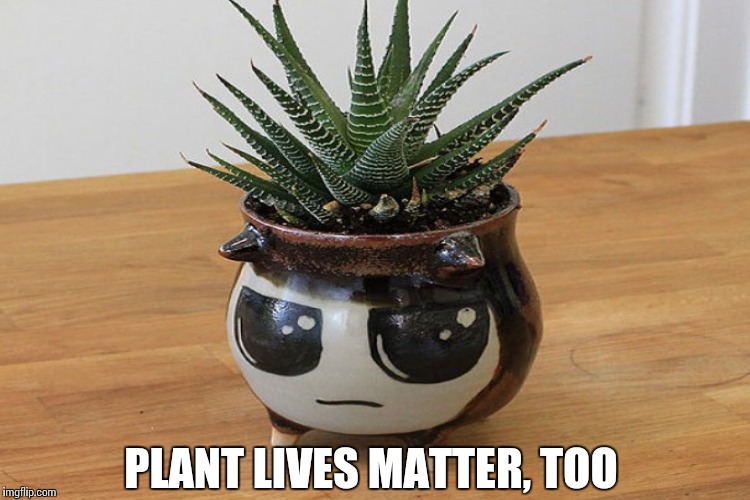 PLANT LIVES MATTER, TOO | made w/ Imgflip meme maker