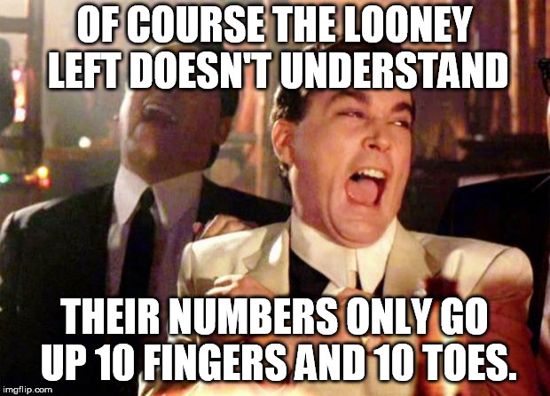 Wise guys laughing | OF COURSE THE LOONEY LEFT DOESN'T UNDERSTAND; THEIR NUMBERS ONLY GO UP 10 FINGERS AND 10 TOES. | image tagged in wise guys laughing | made w/ Imgflip meme maker