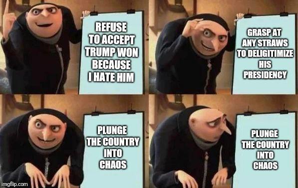 As long as you get your way... | REFUSE TO ACCEPT TRUMP WON BECAUSE I HATE HIM; GRASP AT ANY STRAWS TO DELIGITIMIZE HIS PRESIDENCY; PLUNGE THE COUNTRY INTO CHAOS; PLUNGE THE COUNTRY INTO CHAOS | image tagged in gru's plan,memes | made w/ Imgflip meme maker
