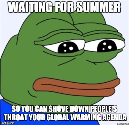 sad frog | WAITING FOR SUMMER; SO YOU CAN SHOVE DOWN PEOPLE'S THROAT YOUR GLOBAL WARMING AGENDA | image tagged in sad frog | made w/ Imgflip meme maker