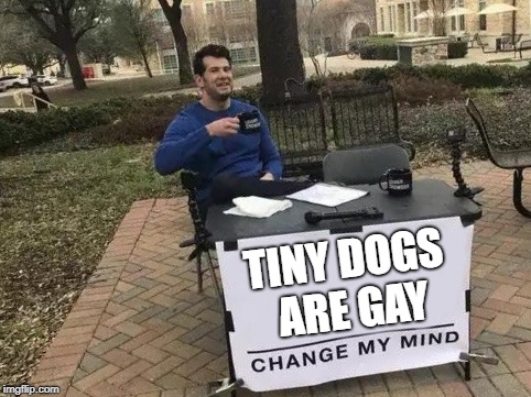 Change My Mind | TINY DOGS ARE GAY | image tagged in change my mind,dogs,gay | made w/ Imgflip meme maker