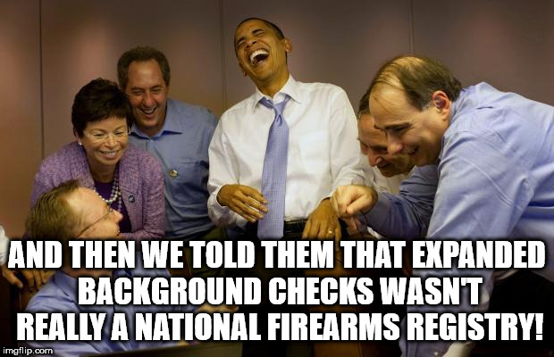 democrats | AND THEN WE TOLD THEM THAT EXPANDED BACKGROUND CHECKS WASN'T REALLY A NATIONAL FIREARMS REGISTRY! | image tagged in democrats | made w/ Imgflip meme maker