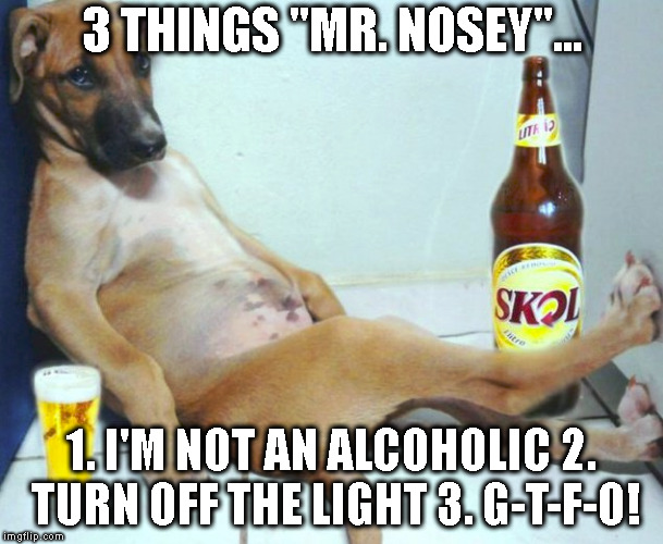 Hair of the Dog |  3 THINGS "MR. NOSEY"... 1. I'M NOT AN ALCOHOLIC 2. TURN OFF THE LIGHT 3. G-T-F-O! | image tagged in drunk,hungover,so-what,party animal | made w/ Imgflip meme maker