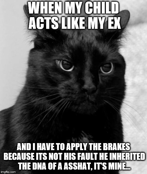 Black cat pissed | WHEN MY CHILD ACTS LIKE MY EX; AND I HAVE TO APPLY THE BRAKES BECAUSE ITS NOT HIS FAULT HE INHERITED THE DNA OF A ASSHAT, IT'S MINE... | image tagged in black cat pissed | made w/ Imgflip meme maker