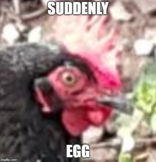 SUDDENLY; EGG | image tagged in egg chicken suddenly | made w/ Imgflip meme maker