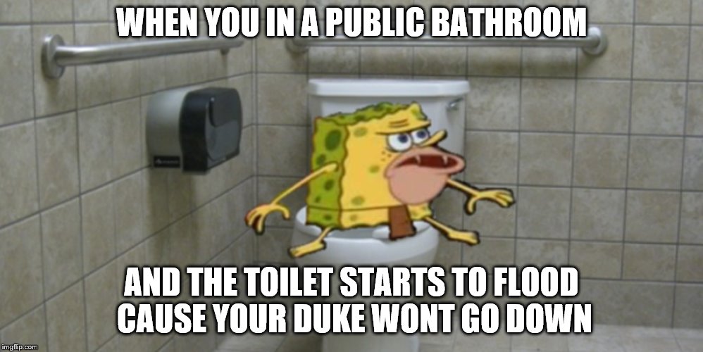 Spongegar | WHEN YOU IN A PUBLIC BATHROOM; AND THE TOILET STARTS TO FLOOD CAUSE YOUR DUKE WONT GO DOWN | image tagged in spongegar | made w/ Imgflip meme maker