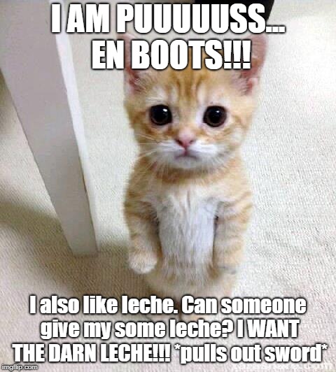 Cute Cat Meme | I AM PUUUUUSS... EN BOOTS!!! I also like leche. Can someone give my some leche? I WANT THE DARN LECHE!!! *pulls out sword* | image tagged in memes,cute cat | made w/ Imgflip meme maker