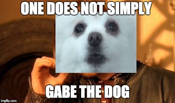 One Does Not Simply Meme | ONE DOES NOT SIMPLY; GABE THE DOG | image tagged in memes,one does not simply | made w/ Imgflip meme maker