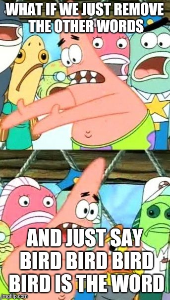 Put It Somewhere Else Patrick Meme | WHAT IF WE JUST REMOVE THE OTHER WORDS AND JUST SAY BIRD BIRD BIRD BIRD IS THE WORD | image tagged in memes,put it somewhere else patrick | made w/ Imgflip meme maker