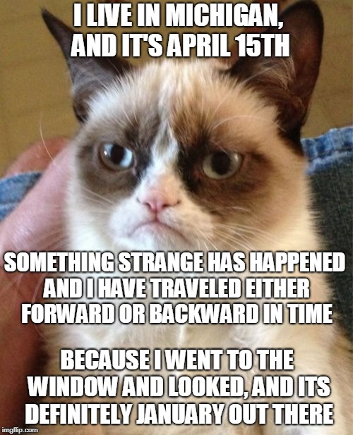 Grumpy Cat Meme | I LIVE IN MICHIGAN, AND IT'S APRIL 15TH; SOMETHING STRANGE HAS HAPPENED AND I HAVE TRAVELED EITHER FORWARD OR BACKWARD IN TIME; BECAUSE I WENT TO THE WINDOW AND LOOKED, AND ITS DEFINITELY JANUARY OUT THERE | image tagged in memes,grumpy cat | made w/ Imgflip meme maker