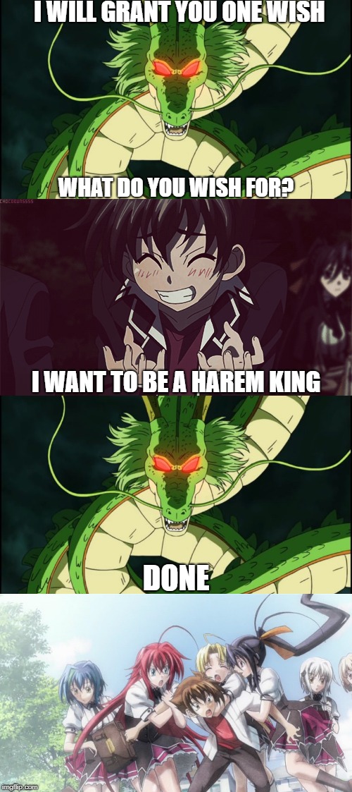 Who needs Jesus to answer your prayers when you got Shenron | I WILL GRANT YOU ONE WISH; WHAT DO YOU WISH FOR? I WANT TO BE A HAREM KING; DONE | image tagged in memes,highschool dxd,dragon ball | made w/ Imgflip meme maker