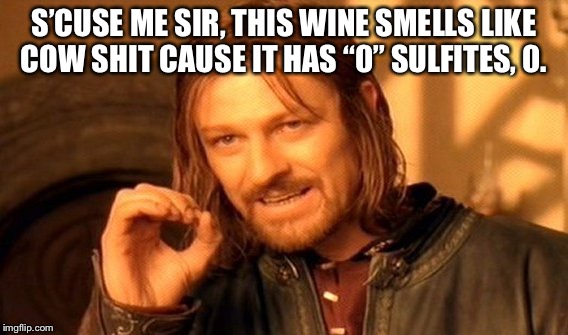One Does Not Simply | S’CUSE ME SIR, THIS WINE SMELLS LIKE COW SHIT CAUSE IT HAS “0” SULFITES, 0. | image tagged in memes,one does not simply | made w/ Imgflip meme maker