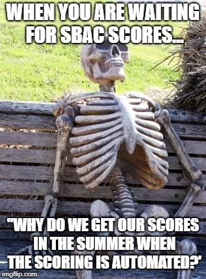Waiting Skeleton Meme | WHEN YOU ARE WAITING FOR SBAC SCORES... "WHY DO WE GET OUR SCORES IN THE SUMMER WHEN THE SCORING IS AUTOMATED?' | image tagged in memes,waiting skeleton | made w/ Imgflip meme maker