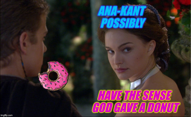 ANA-KANT POSSIBLY HAVE THE SENSE GOD GAVE A DONUT | made w/ Imgflip meme maker