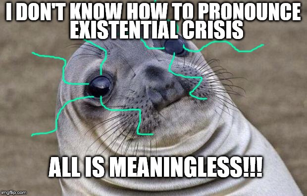 Awkward Moment Sealion Meme | I DON'T KNOW HOW TO PRONOUNCE; EXISTENTIAL CRISIS; ALL IS MEANINGLESS!!! | image tagged in memes,awkward moment sealion | made w/ Imgflip meme maker