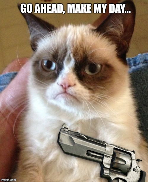 Dirty Kitty | GO AHEAD, MAKE MY DAY... | image tagged in grumpy cat | made w/ Imgflip meme maker