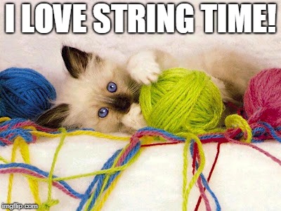 I LOVE STRING TIME! | image tagged in string | made w/ Imgflip meme maker