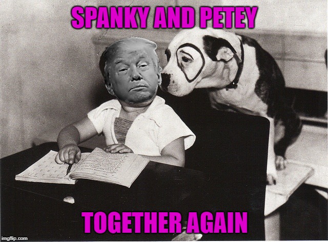 Spanky Makes A Comeback! | SPANKY AND PETEY; TOGETHER AGAIN | image tagged in trump,spank,spanking,stormy daniels | made w/ Imgflip meme maker