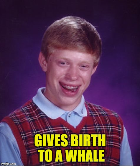 Bad Luck Brian Meme | GIVES BIRTH TO A WHALE | image tagged in memes,bad luck brian | made w/ Imgflip meme maker