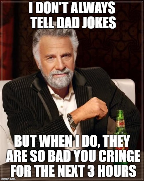 The Most Interesting Man In The World Meme | I DON'T ALWAYS TELL DAD JOKES; BUT WHEN I DO, THEY ARE SO BAD YOU CRINGE FOR THE NEXT 3 HOURS | image tagged in memes,the most interesting man in the world | made w/ Imgflip meme maker