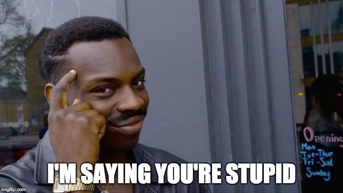 Roll Safe Think About It Meme | I'M SAYING YOU'RE STUPID | image tagged in memes,roll safe think about it | made w/ Imgflip meme maker