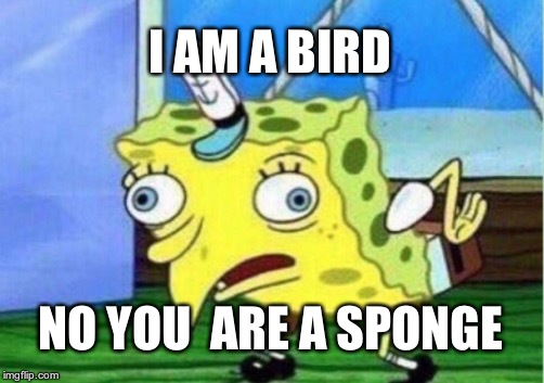 SPONGEBIRD | I AM A BIRD; NO YOU  ARE A SPONGE | image tagged in memes,mocking spongebob | made w/ Imgflip meme maker
