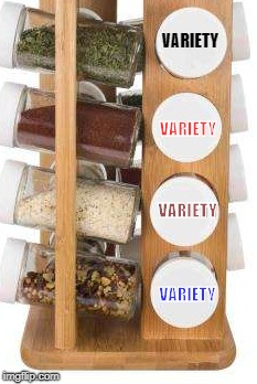 The Spice Rack Of Life | VARIETY; VARIETY; VARIETY; VARIETY | image tagged in variety,spice | made w/ Imgflip meme maker