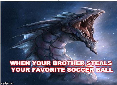WHEN YOUR BROTHER STEALS YOUR FAVORITE SOCCER BALL | image tagged in dragon soccer memes,dragon head  soccer memes | made w/ Imgflip meme maker