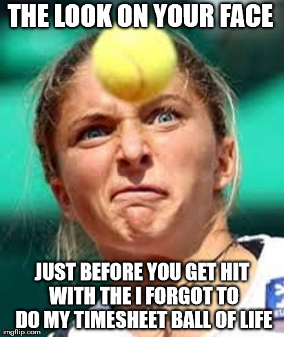 Ball | THE LOOK ON YOUR FACE; JUST BEFORE YOU GET HIT WITH THE I FORGOT TO DO MY TIMESHEET BALL OF LIFE | image tagged in ball of life,timesheet meme,timesheet reminder,the look | made w/ Imgflip meme maker